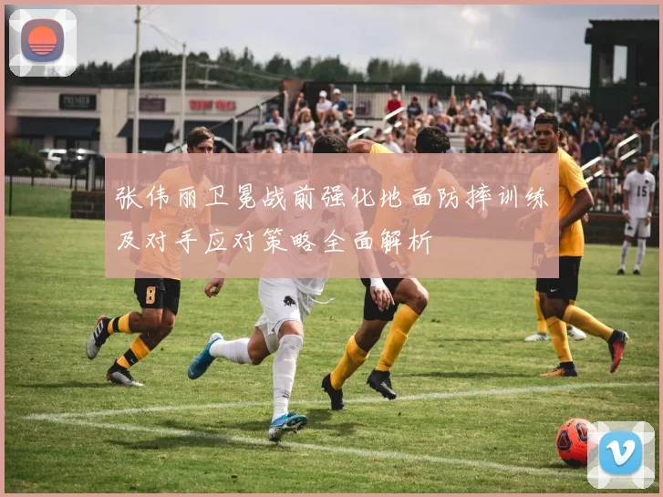 张伟丽卫冕战前强化地面防摔训练及对手应对策略全面解析
